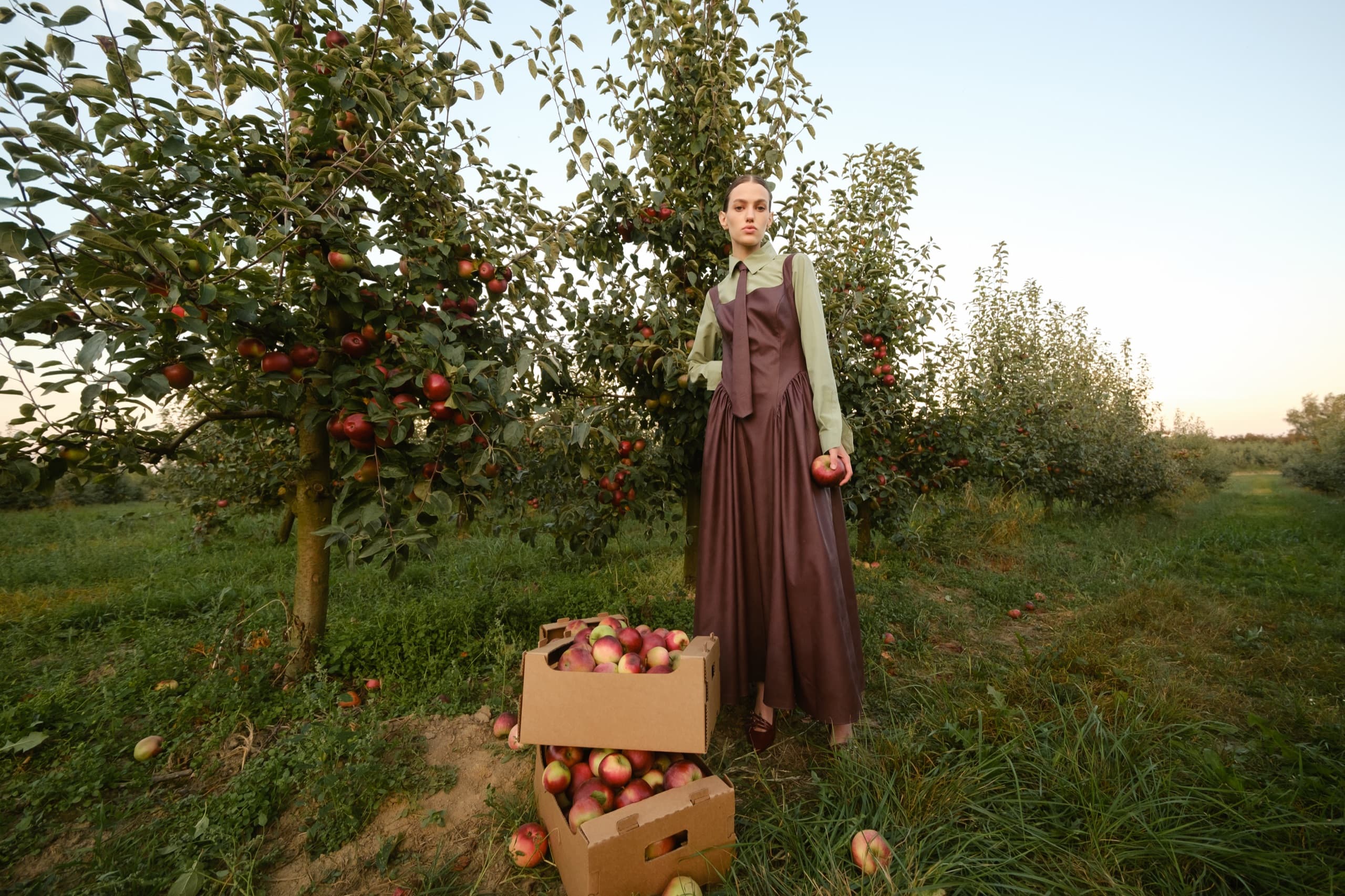 SW17 Orchard Editorial